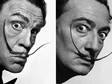 Tisíc podob Johna Malkoviche: Salvador Dalí, 1954.
