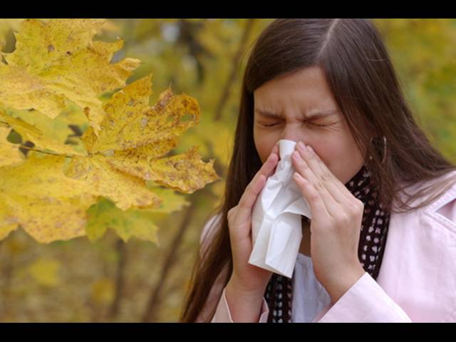 Jak se bránit podzimní rýmě a chřipce