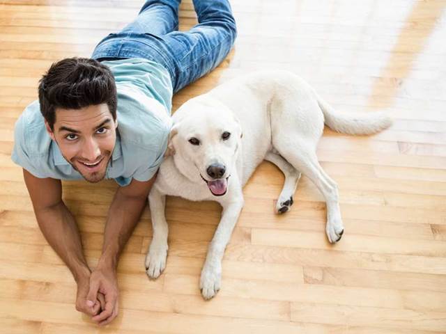Nechte svého psa šichnout k JEHO rozkroku: Rakovinu prostaty odhalí na 98%