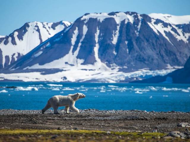 Bílá Arktida bude brzy minulostí