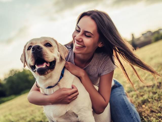 Psi, kteří mají kvalitní společenský život, žijí déle