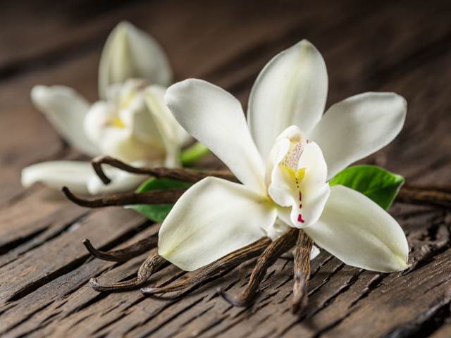 Vanilka má překvapivé kosmetické přednosti