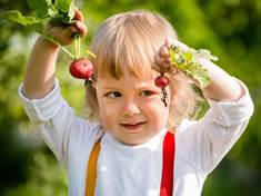 Děti mající rády zeleninu, mají lepší výkony ve škole