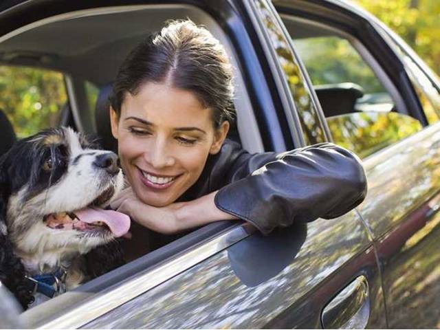4 tipy pro bezpečné cestování s domácími mazlíčky v autě 