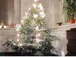 Soutěž s vánočními výrobky ORION: První společný vánoční stromeček s přítelem....:) od Jany R.