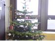Soutěž s vánočními výrobky ORION: Školní vánoční stromeček od Dany D.