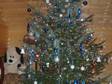 Soutěž s vánočními výrobky ORION: Bedlivě střežený stromeček od Petry P.