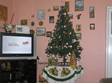 Soutěž s vánočními výrobky ORION: Malý stromeček, ale veliká radost od Jany S.