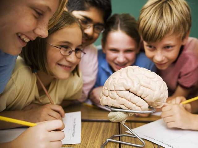 Mozek dívek dospívá v deseti, mozek chlapců až ve dvaceti