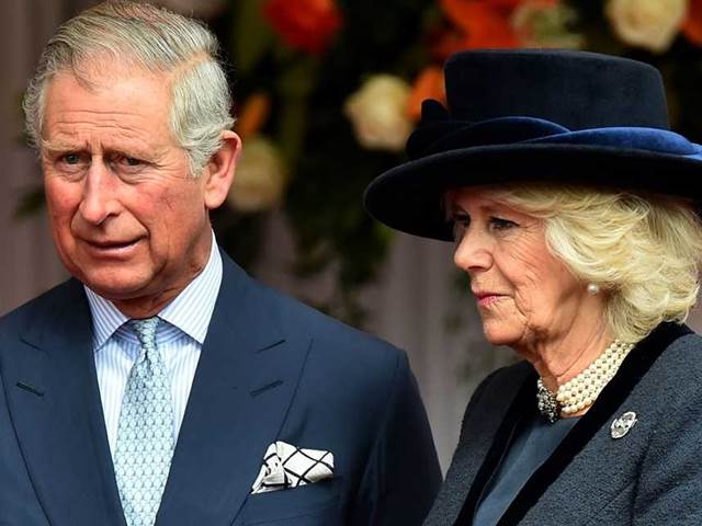 Nenáviděná Camilla nahradila princeznu Dianu: Chtějí ji za královnu!