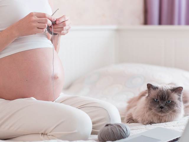 Těhotné nesmějí sýry a měly by se vyhýbat kočkám. Těmto mýtům stále věříme