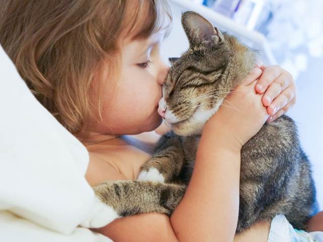 Pes riziko astmatu u dětí snižuje, kočka naopak zvyšuje