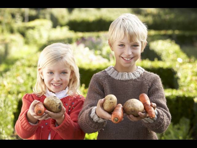 Oblibu ovoce a zeleniny u dětí formují rodiče