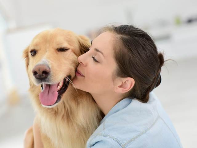 Jak potěšit svého psího kamaráda? Dopřejte mu krmivo, které má šťávu