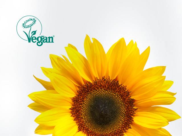 Zelená slunečnice aneb Jak číst ochrannou známku Vegan Society