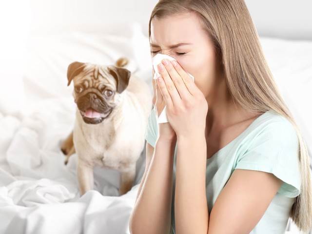 Bylinky na každý příznak alergie. Která bude ta nejlepší pro vás