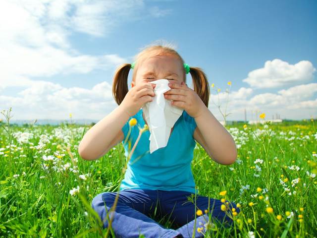 Za nárůst alergií mohou císařské řezy, tvrdí 107letý alergolog