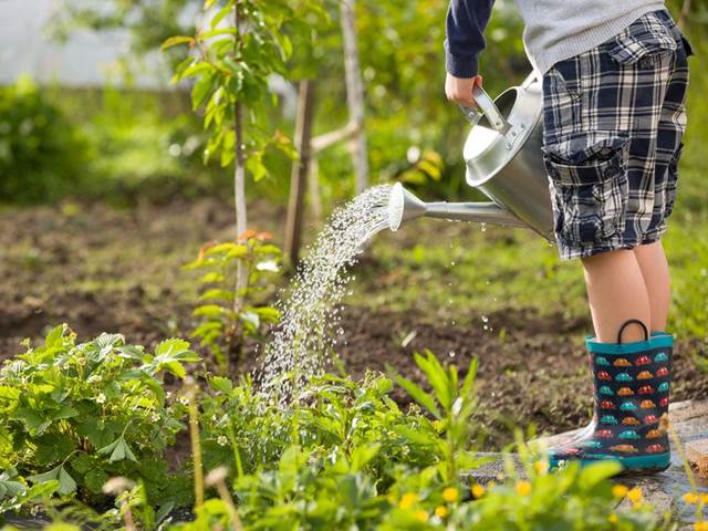 Vyzkoušejte „mind gardening“