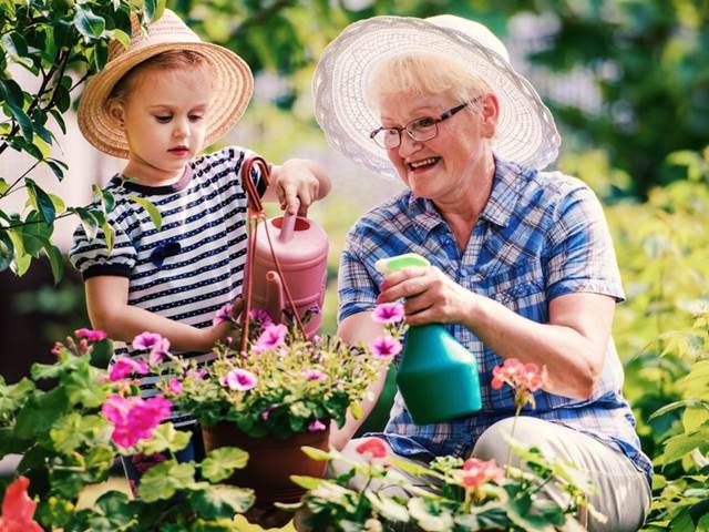 Důchodci s povinnostmi se dožívají vyššího věku