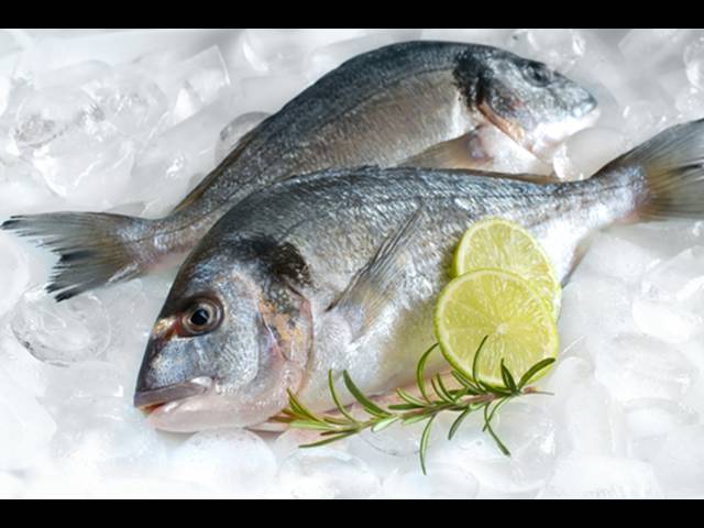 Omega-3 mastné kyseliny z ryb pomáhají léčit rakovinu tlustého střeva
