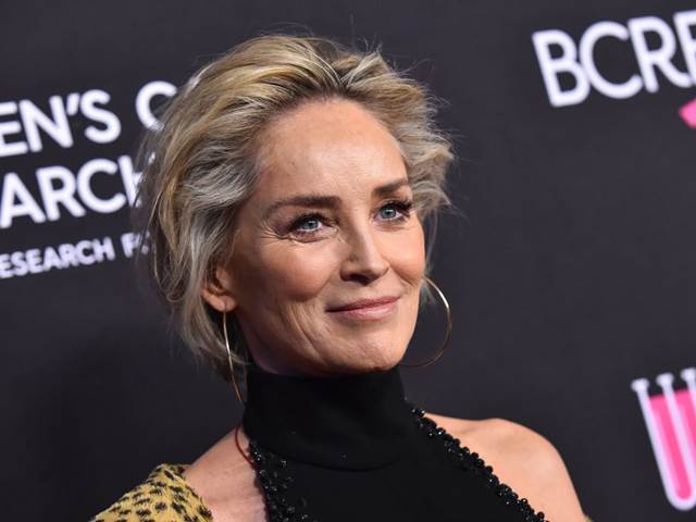 Chat se Sharon Stone na veřejné seznamce