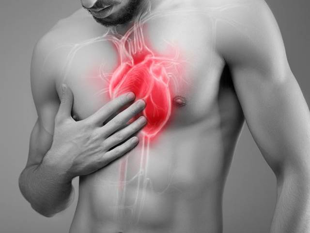 Zapnutím genu v srdeční svalovině lze obnovit jeho poškozenou tkáň
