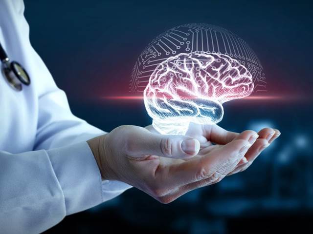 Lidský mozek ukládá informace do paměti jedinečným způsobem