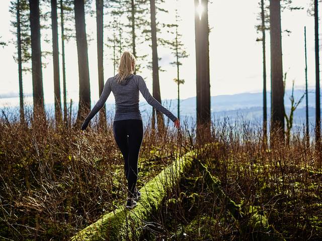 Terapie lesem zlepšuje náladu a mírní stres