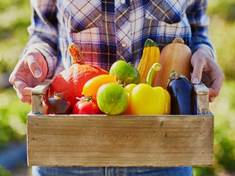 Bio zelenina a ovoce obsahují o pětinu více antioxidantů