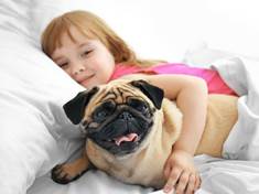 Děti vyrůstající se psy mají nižší riziko alergie a nadváhy