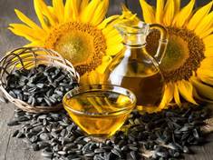 Zásobte se slunečnicovým olejem. Využití najde nejen při vaření