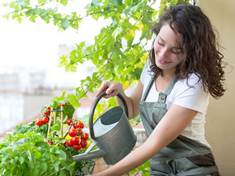 Proměňte balkon v zahradu plnou květů a zeleniny