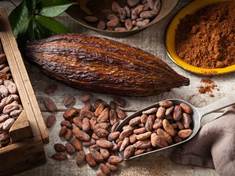 Kakao třikrát denně zvyšuje kondici seniorů
