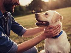Terapeutičtí psi pro zlepšení duševního a fyzického zdraví
