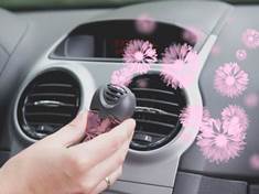 Mátové osvěžovače vzduchu do auta uklidňují nervozitu řidičů