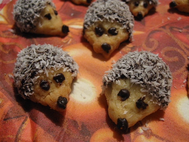 Vánoční ježečci