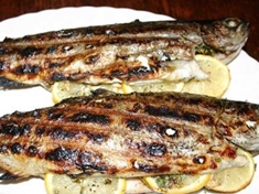 
	Při grilování by neměla na grilu chybět ryba, mezi oblíbené ryby na gril patří určitě pstruh.
